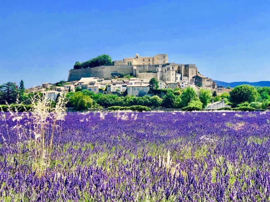 L'Olivier Apartment Grignan Bagian luar foto